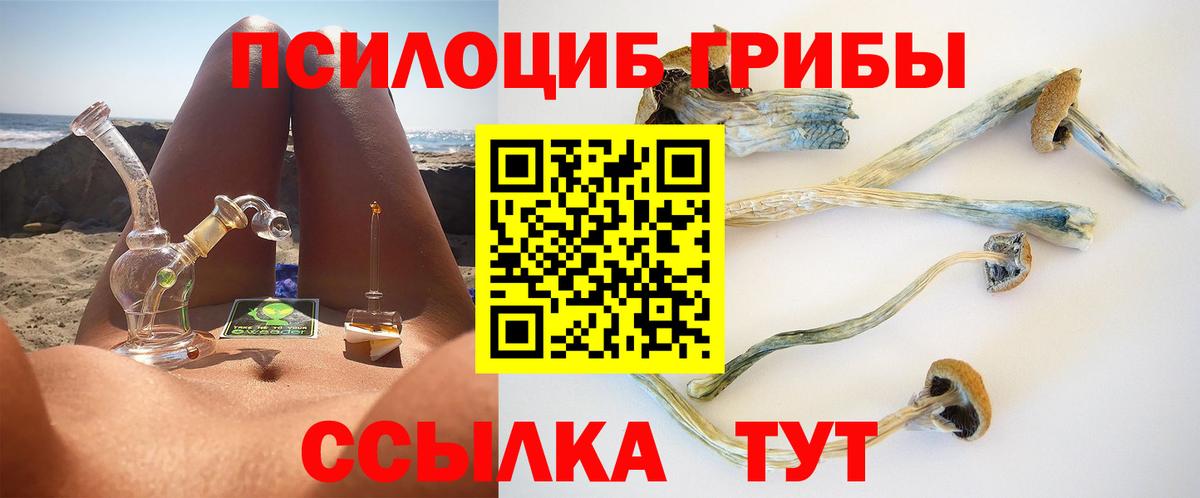 Киреевск  Галлюциногенные грибы Psilocybine cubensis  Вход с VPN 